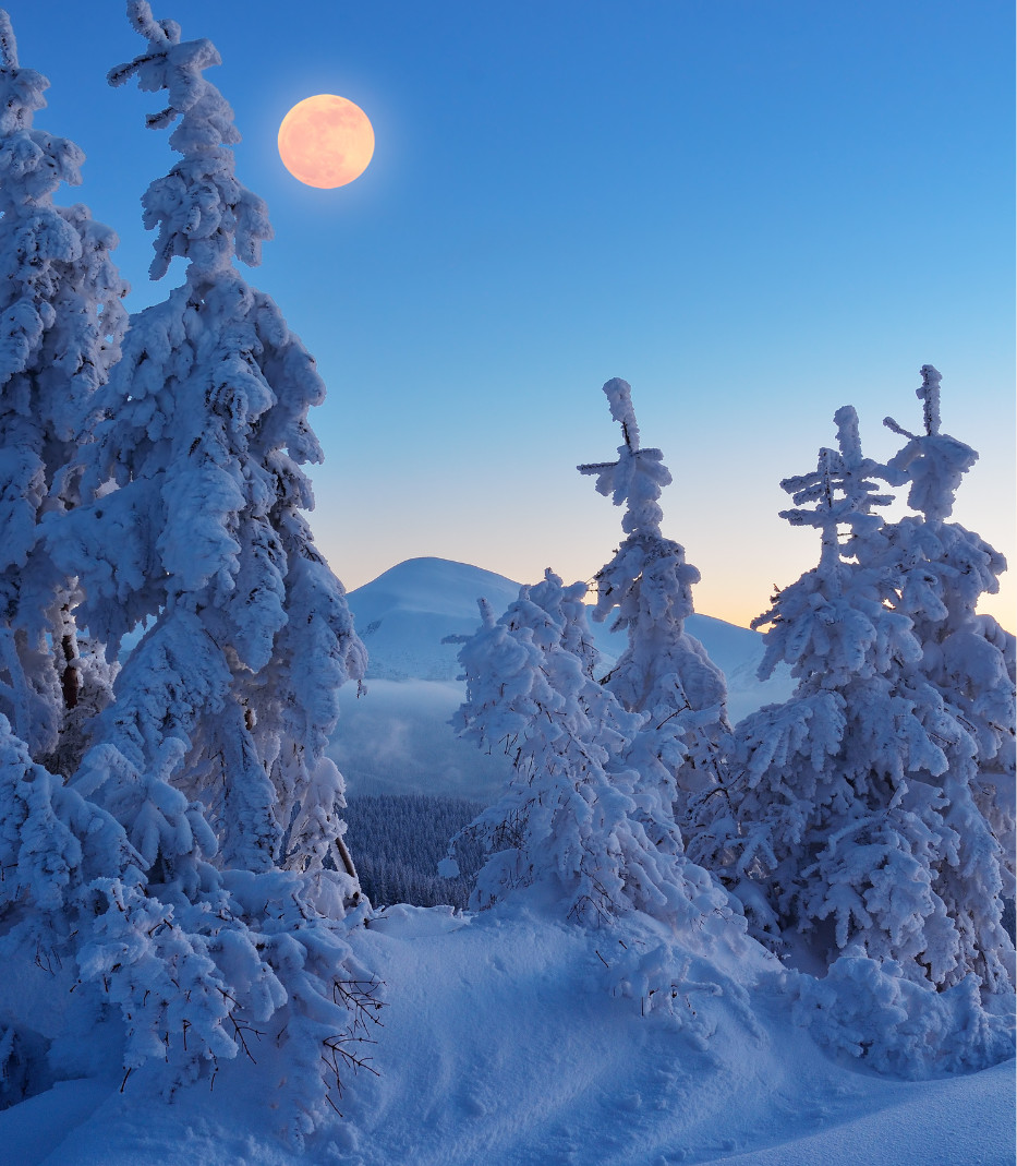 The Snow Full Moon in Leo: Ignite Your Inner Fire!