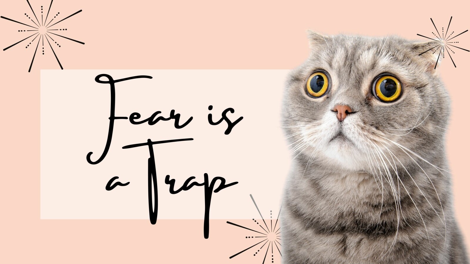 Fear is a trap...