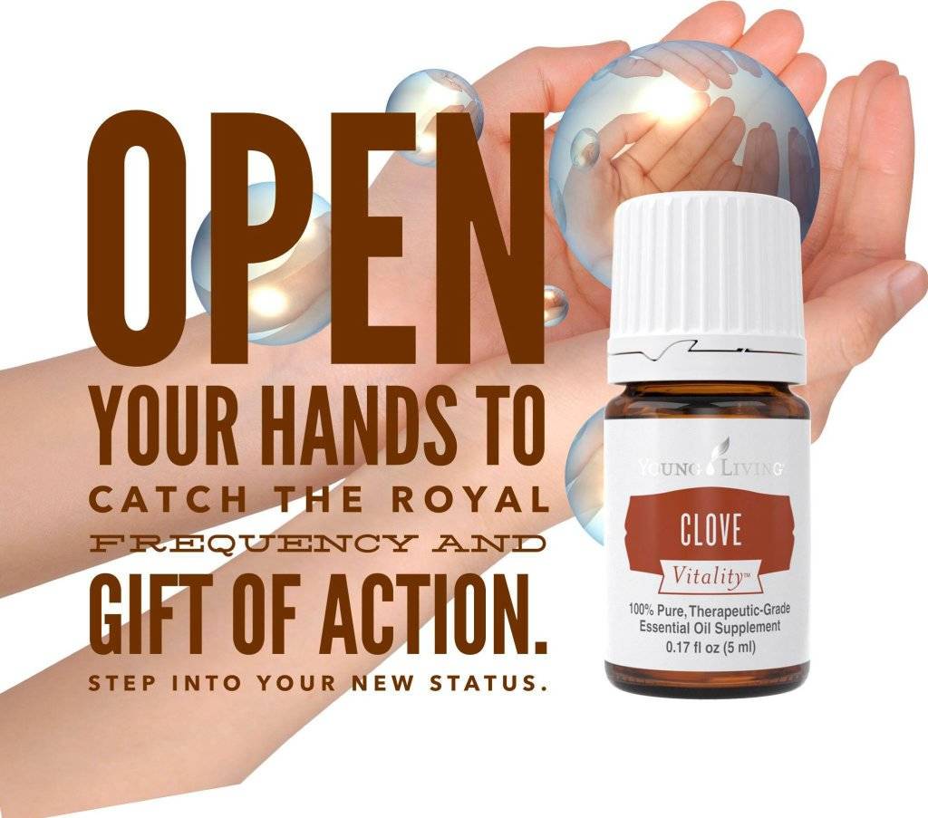 Clove 
