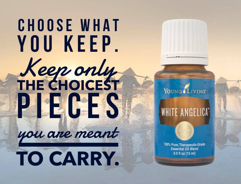 White Angelica 