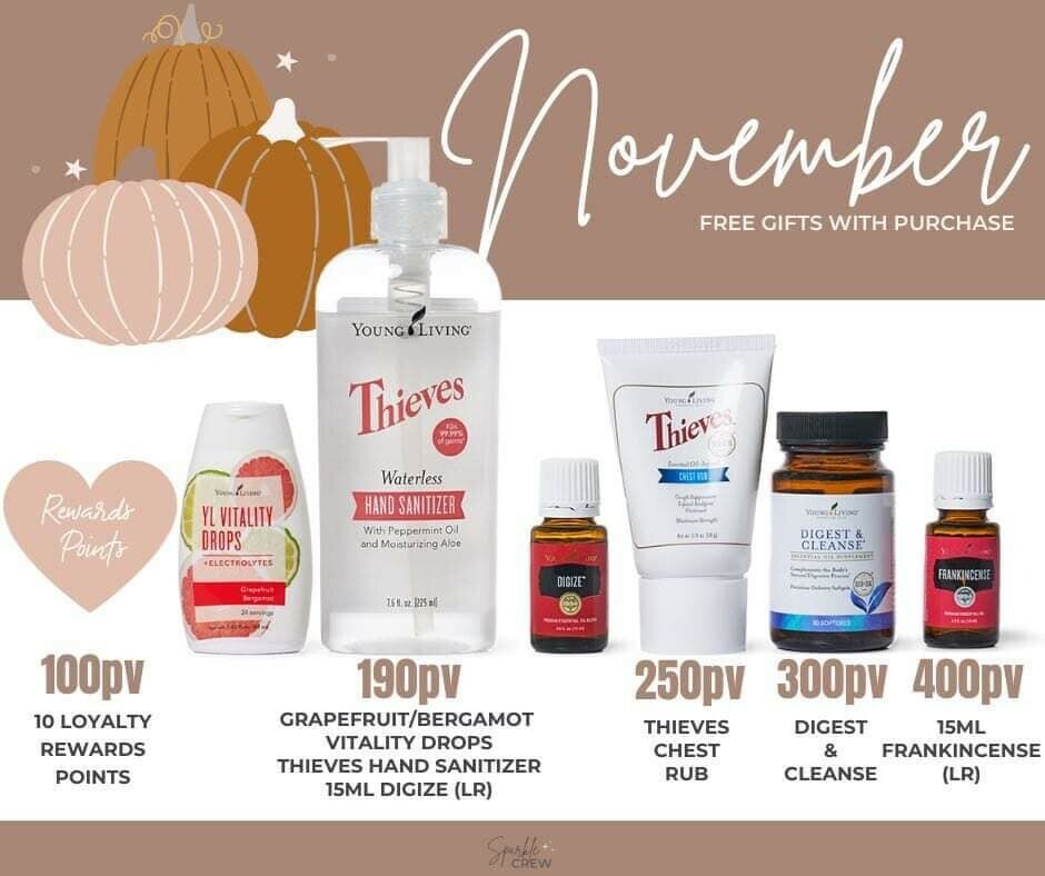 November Gifts With Purchase