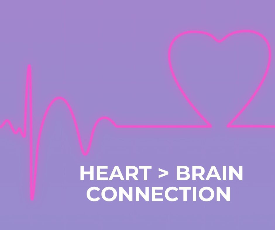 How The Heart Affects The Brain & Self Regulation