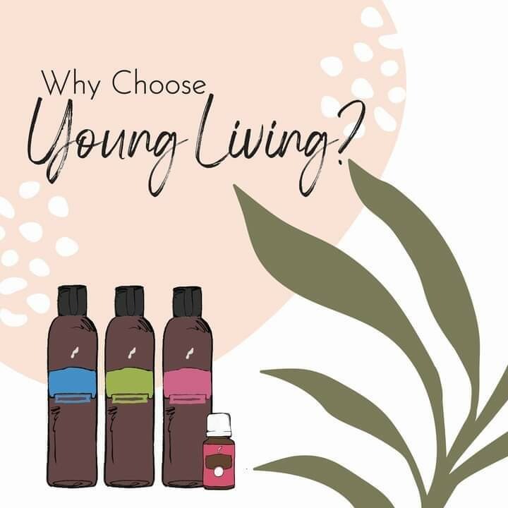 🤔🤔Why Choose Young Living?🤔🤔 Heidi M Hovan