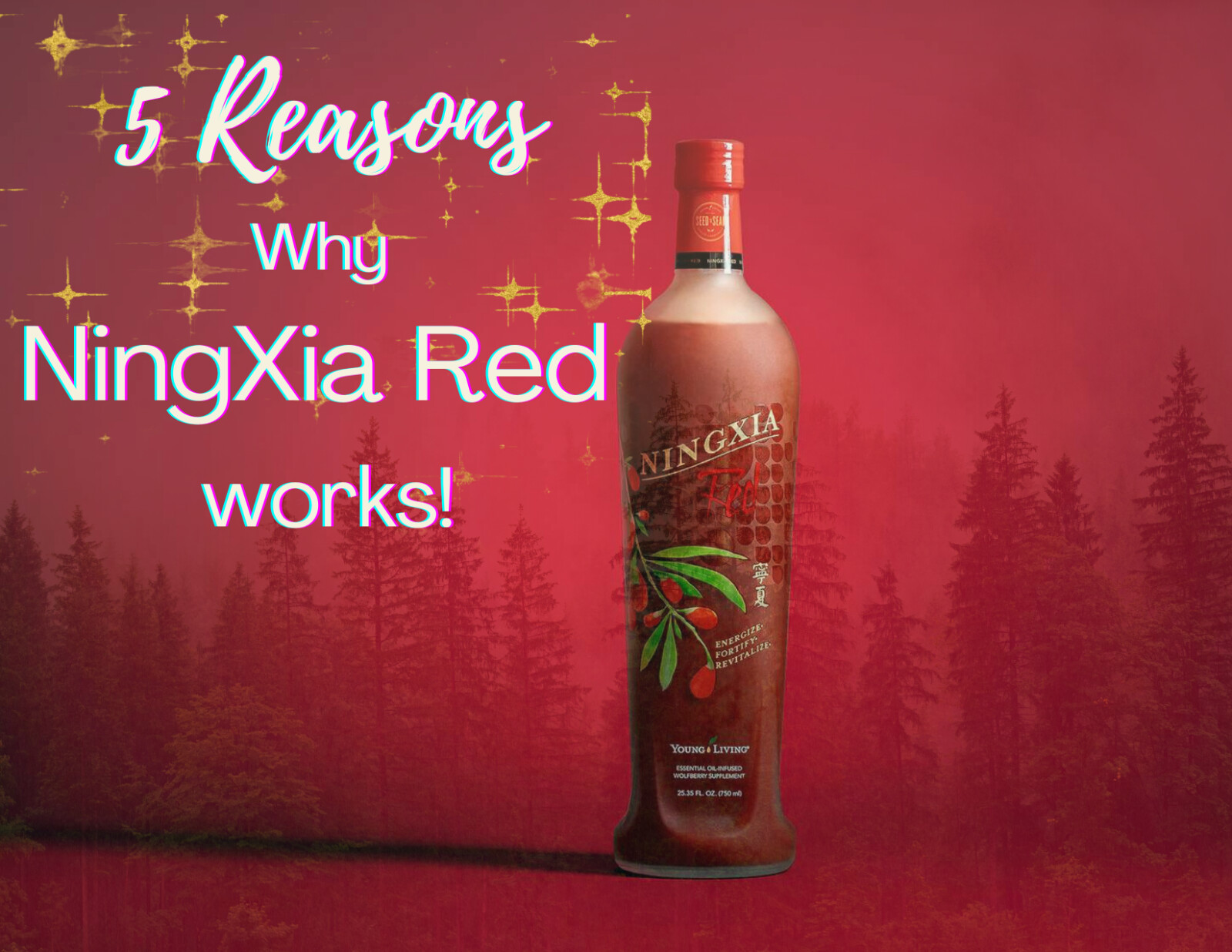 Reasons 1 - 5 why You NEED NingXia Red in your life! 