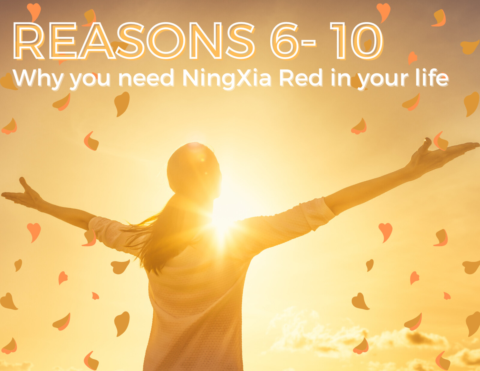 Reasons 6 - 10 why you need  NingXia Red in your life!