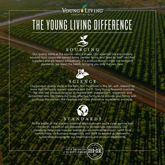 WHY YL!  My Story Detailing the DIFFERENCE!