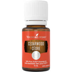 [NHP] Young Living Canada Natural Health Product Feature: Cedarwood Essential Oil