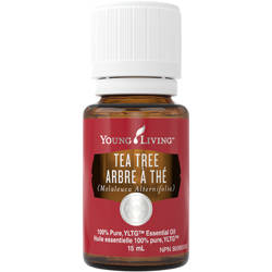 [NHP] Young Living Canada Natural Health Product Feature: Tea Tree 