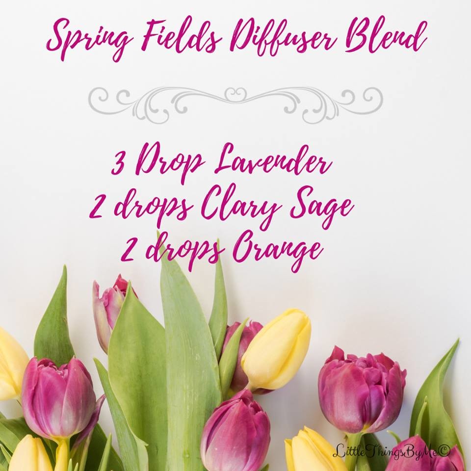 SPRING FIELDS DIFFUSER COMBO