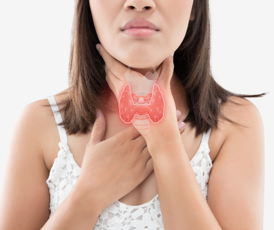 Estrogen Dominance and the Thyroid