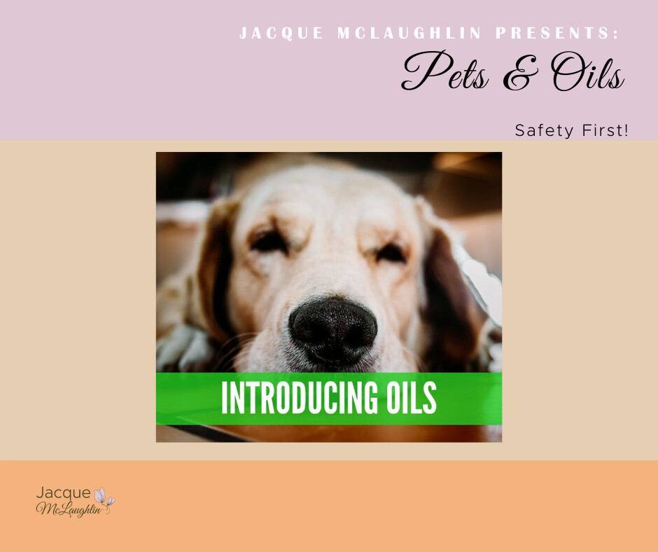 Essential Oils For Pets