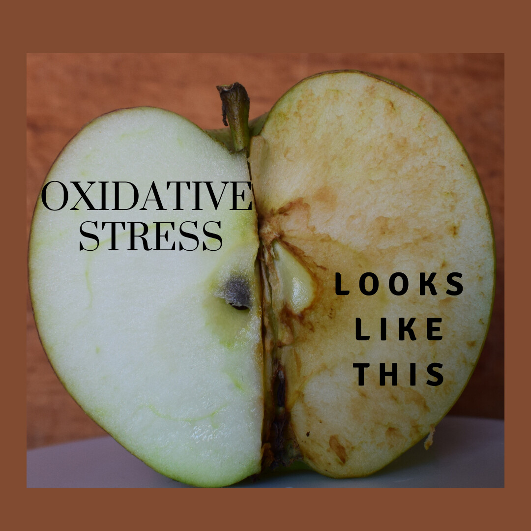 What You Need to Know About Oxidative Stress
