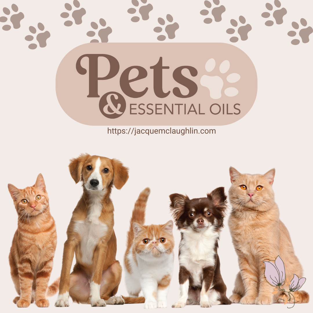 Pets & Oils