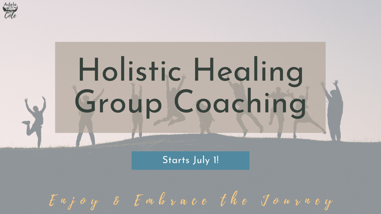 Holistic Lyme Healing Group Coaching Opportunity