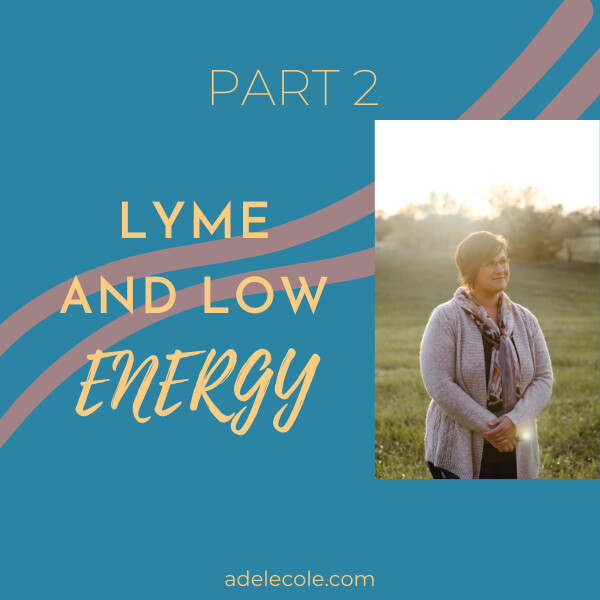 LYME & LOW ENERGY: WHY THE HECK AM I SO EXHAUSTED!? PART 2