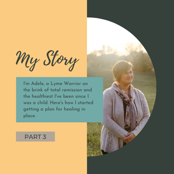 My Lyme Healing Story: Hope Found (Part 3)