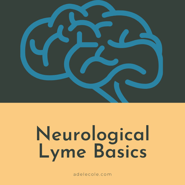 Neurological Lyme Basics