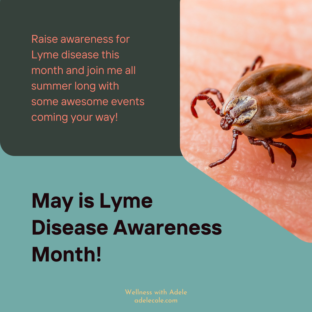 Lyme Disease Awareness Month and MORE!