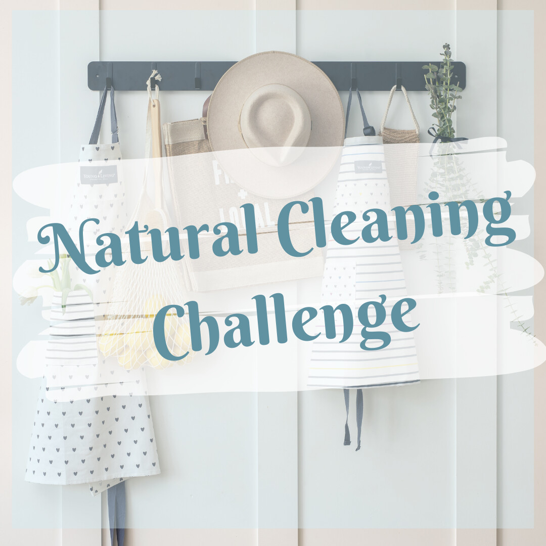 The Dirt on Natural Cleaning + Products