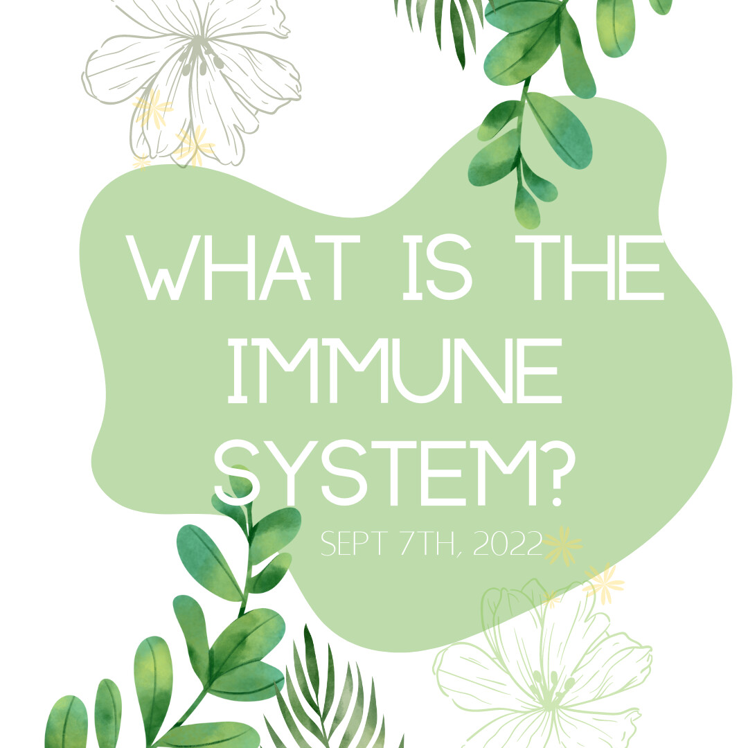 What is our Immune System?