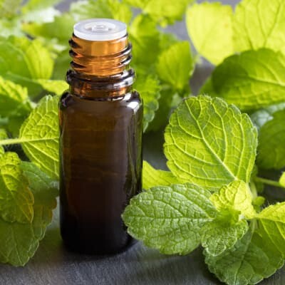 Essential Oils – An Overview - Center for Research on Ingredient Safety