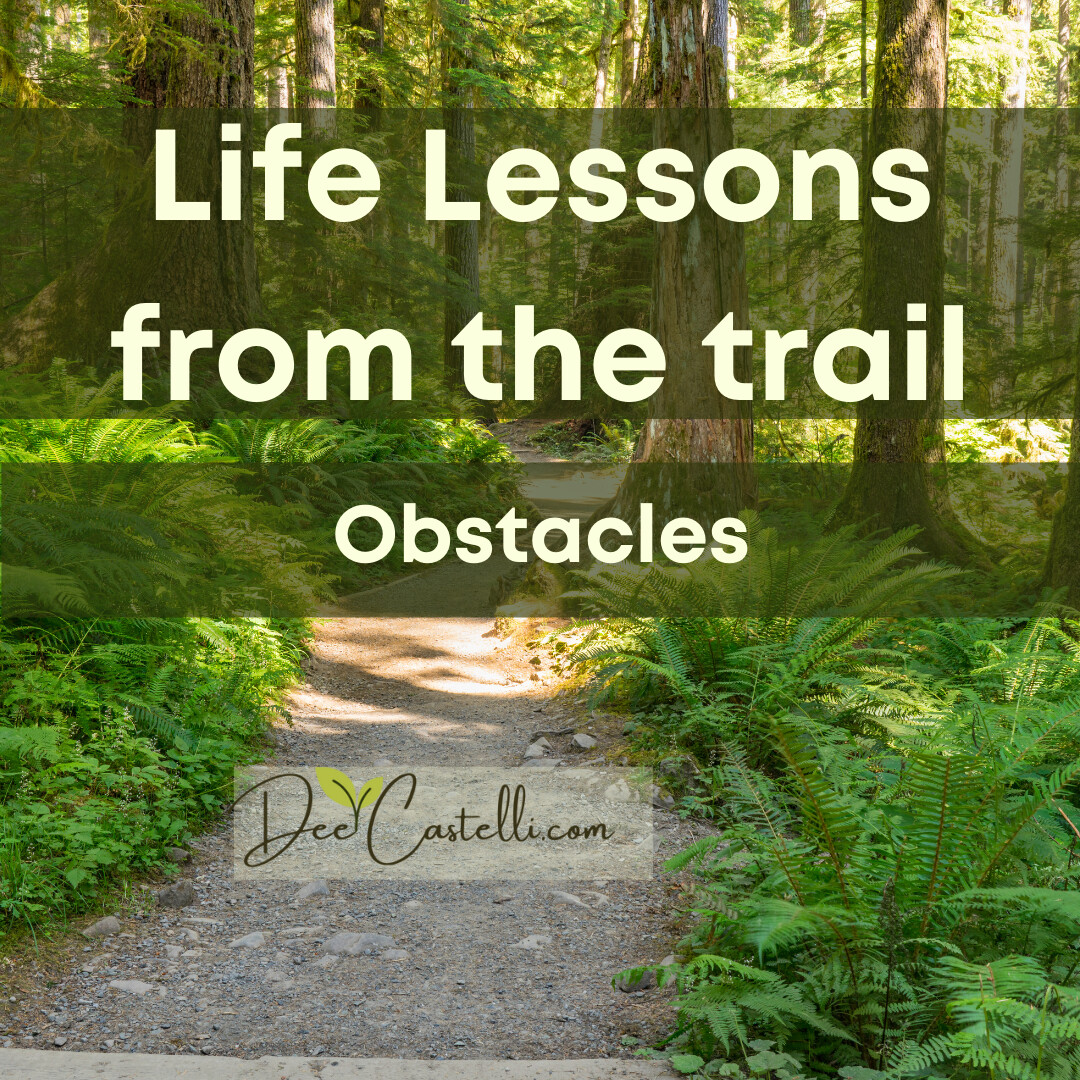Life Lessons from the Trail - obstacles