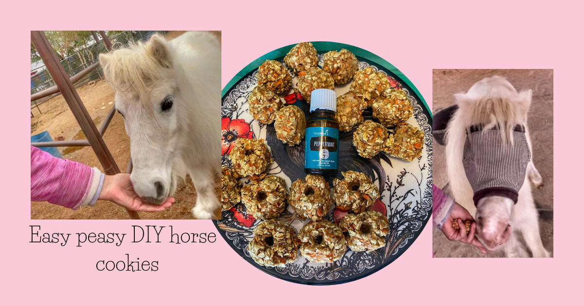My picky eater approved DIY horse cookies......