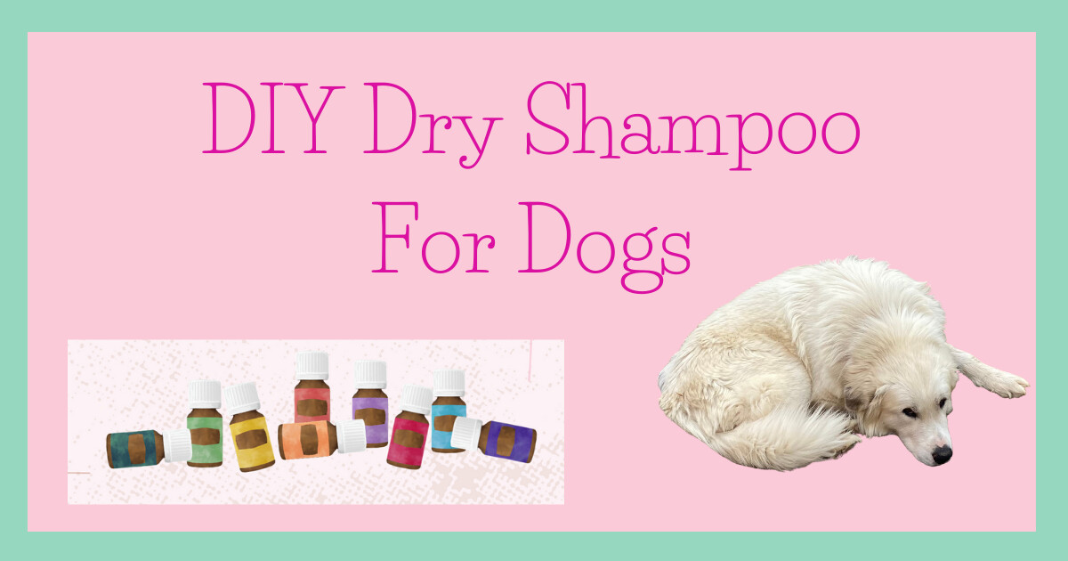 How to make a dry shampoo for your dog