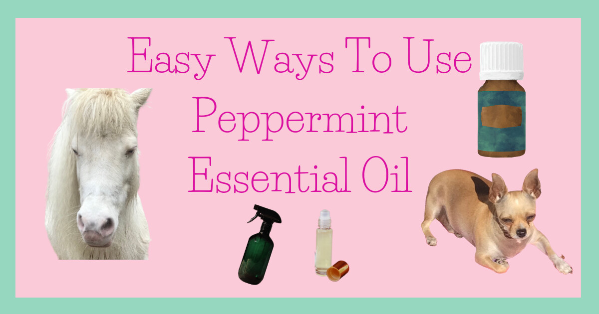 Easy ways to use Peppermint Essential Oil