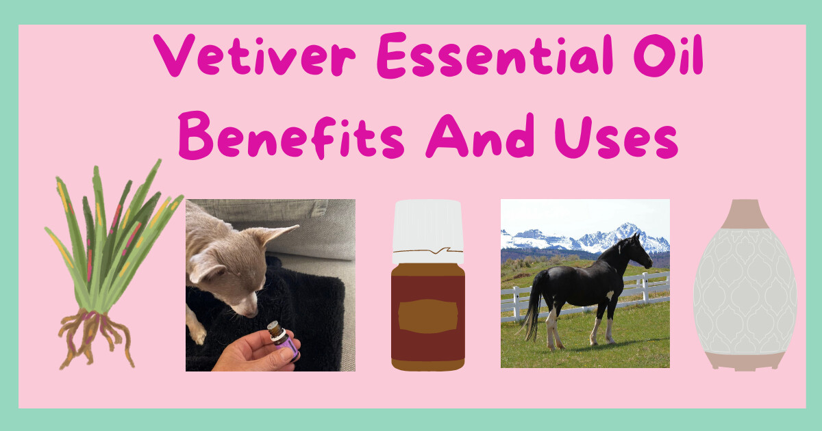 Benefits of Vetiver Essential Oil