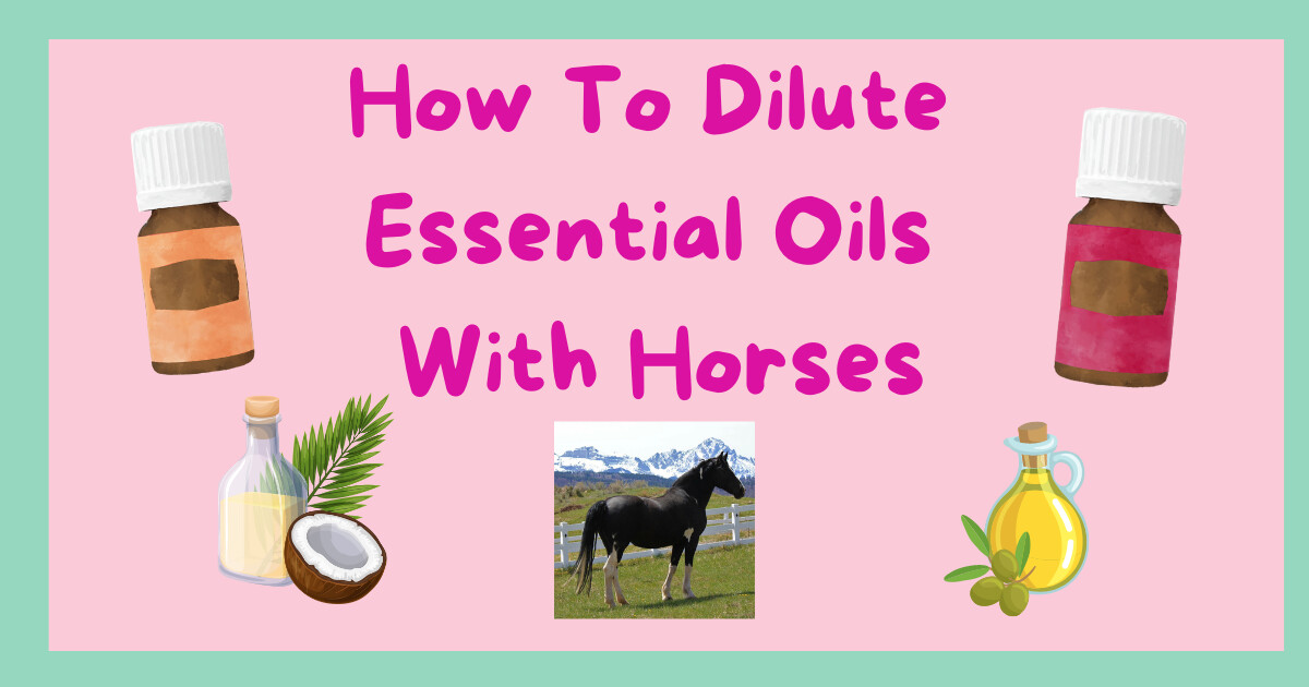 How To Dilute Essential Oils With Horses