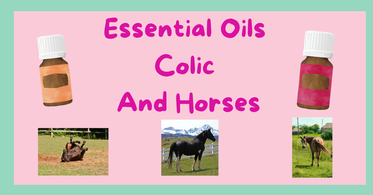 Which essential oils to use when your horse has colic and you are waiting for the vet