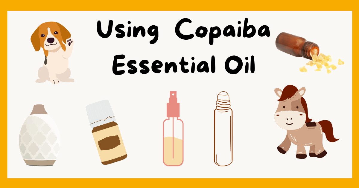 Unlock the Benefits of Copaiba Essential Oil