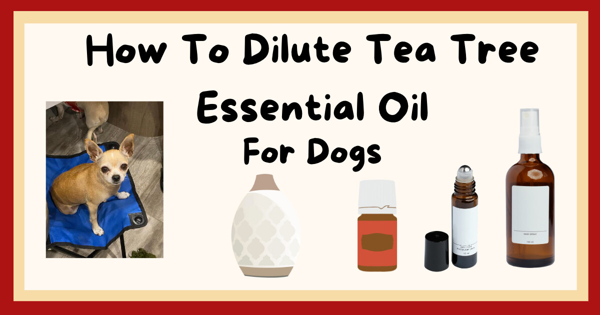 How To Dilute Tea Tree Oil For Dogs 