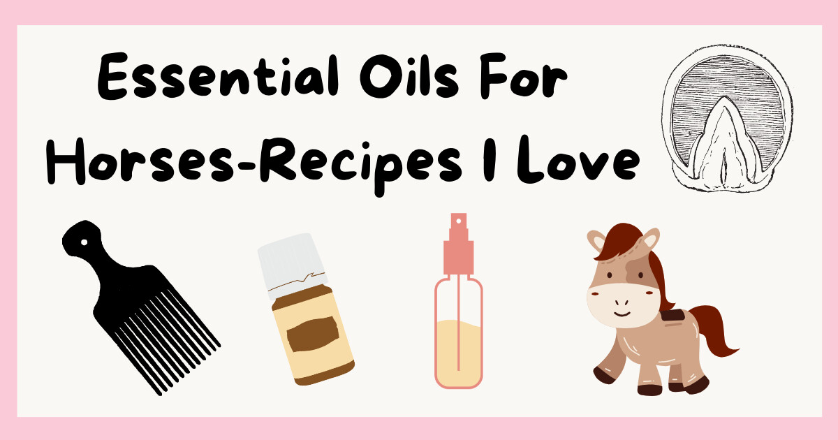 Essential Oils For Horses-Recipes I Love!