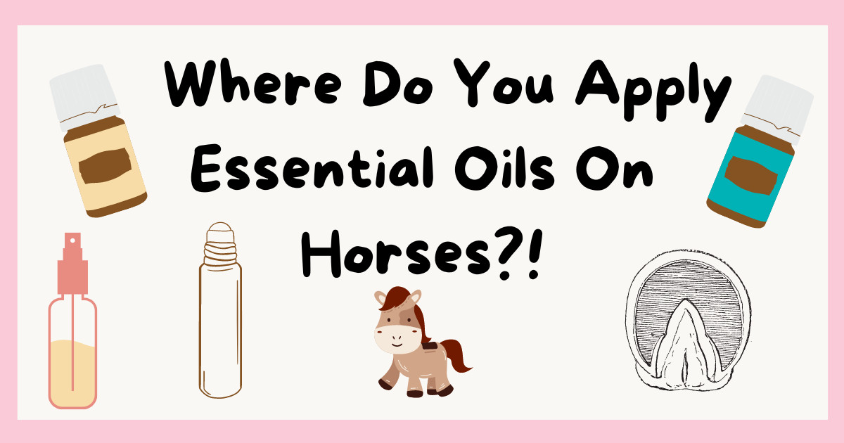Where Do You Apply Essential Oils On Horses?