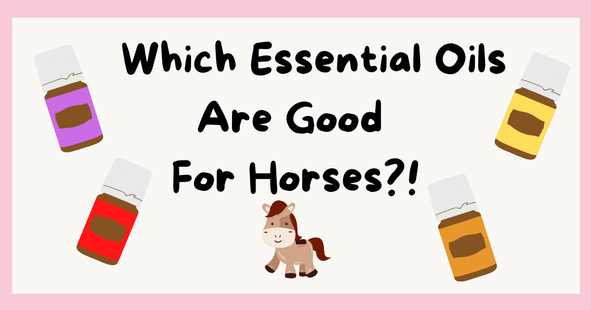 Which Essential Oils Are Good For Horses?!