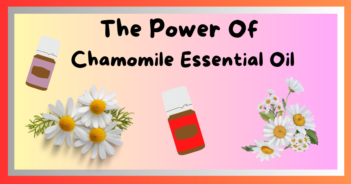 Chamomile for Dogs: Exploring the Essential Oil Question - Is It Safe?