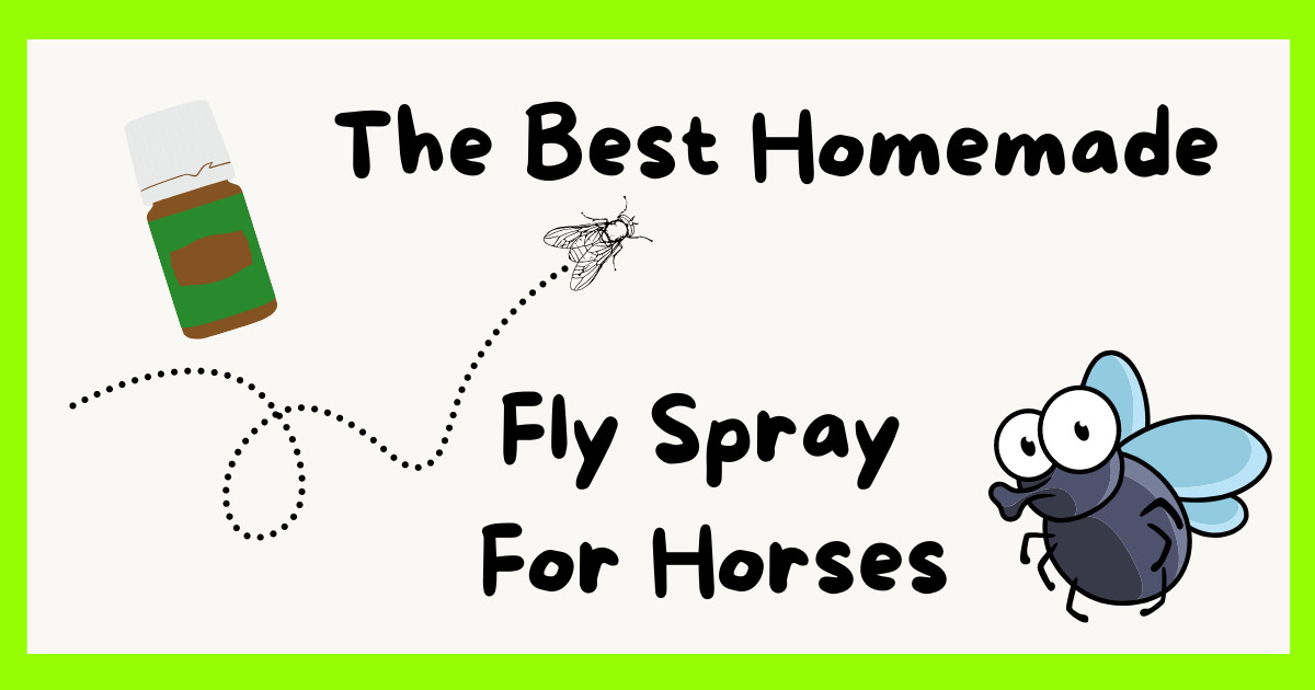 DIY Essential Oil Fly Spray For Horses- A Natural Solution