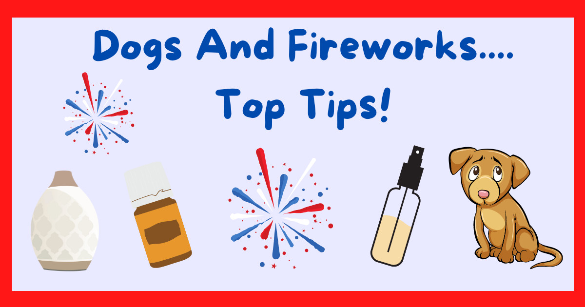 How to Calm Your Dog During Fireworks: Effective Strategies and Tips