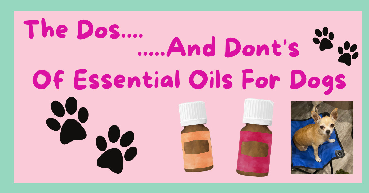 Understanding the Dos and Don'ts of Using Essential Oils for Dogs