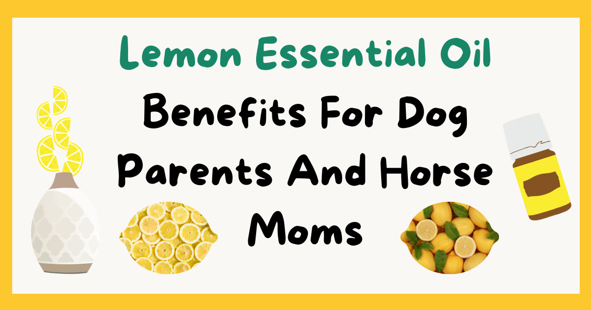 Lemon Essential Oil: Origins, Uses, and How It Benefits Dog Parents and Horse Moms!