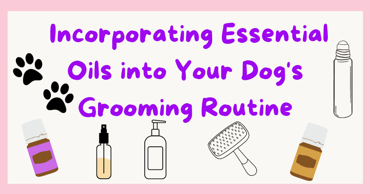 A Comprehensive Guide: Incorporating Essential Oils into Your Dog's Grooming Routine