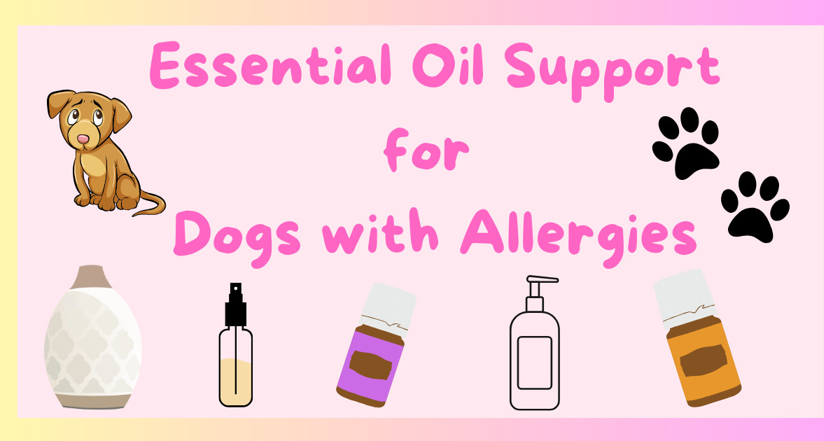 Essential Oil Support for Dogs with Allergies