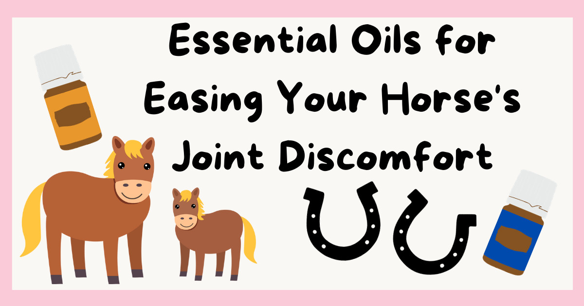 Essential Oils for Easing Your Horse's Joint Discomfort