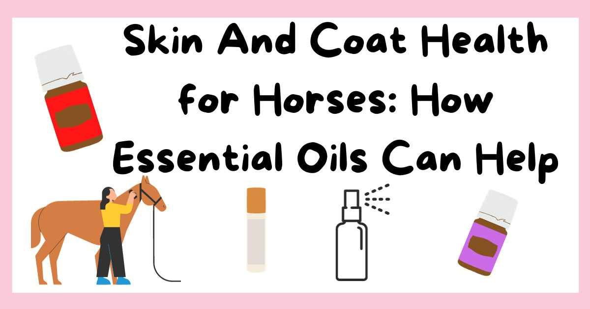 Skin And Coat Health for Horses: How Essential Oils Can Help