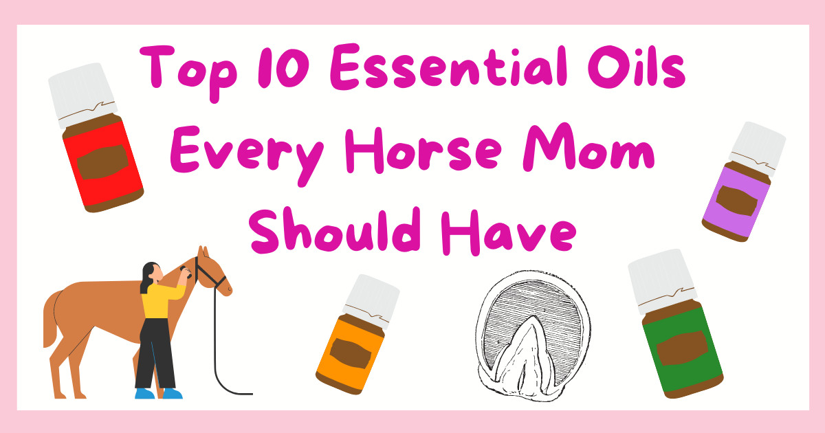Top 10 Essential Oils Every Horse Mom Should Have