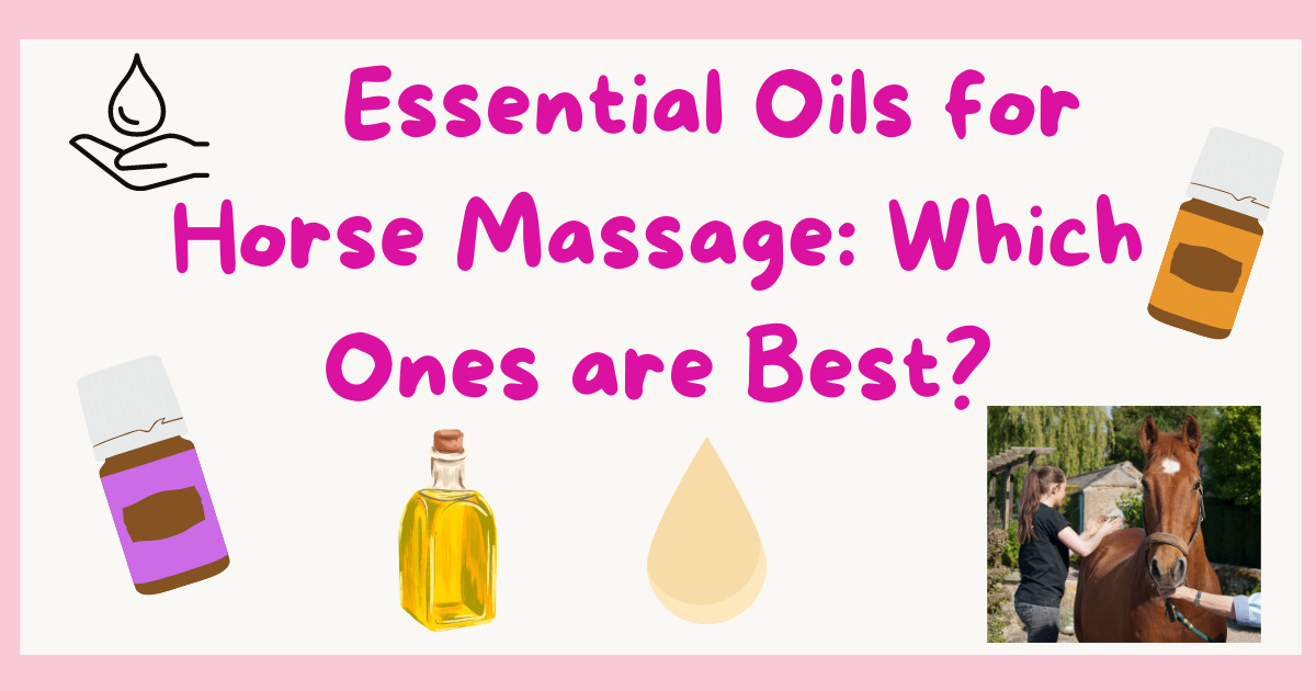 Essential Oils for Horse Massage: Which Ones are Best?