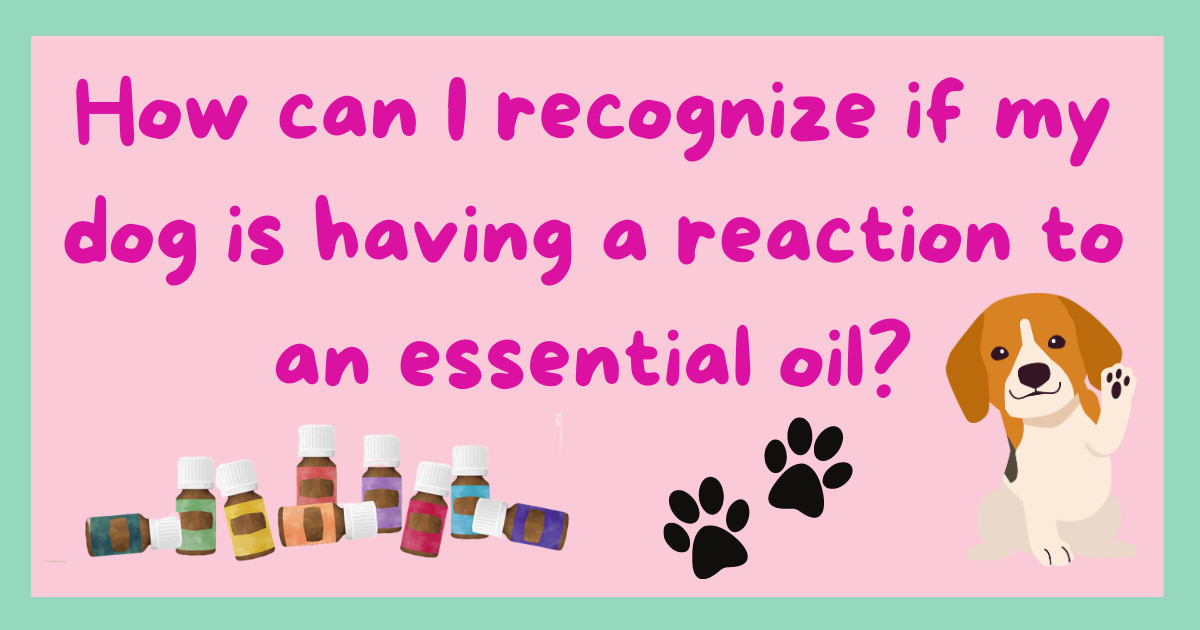 How can I recognize if my dog is having a reaction to an essential oil?