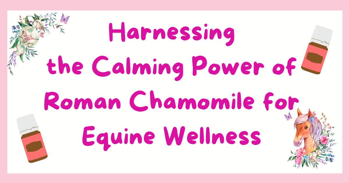 Harnessing the Calming Power of Roman Chamomile for Equine Wellness
